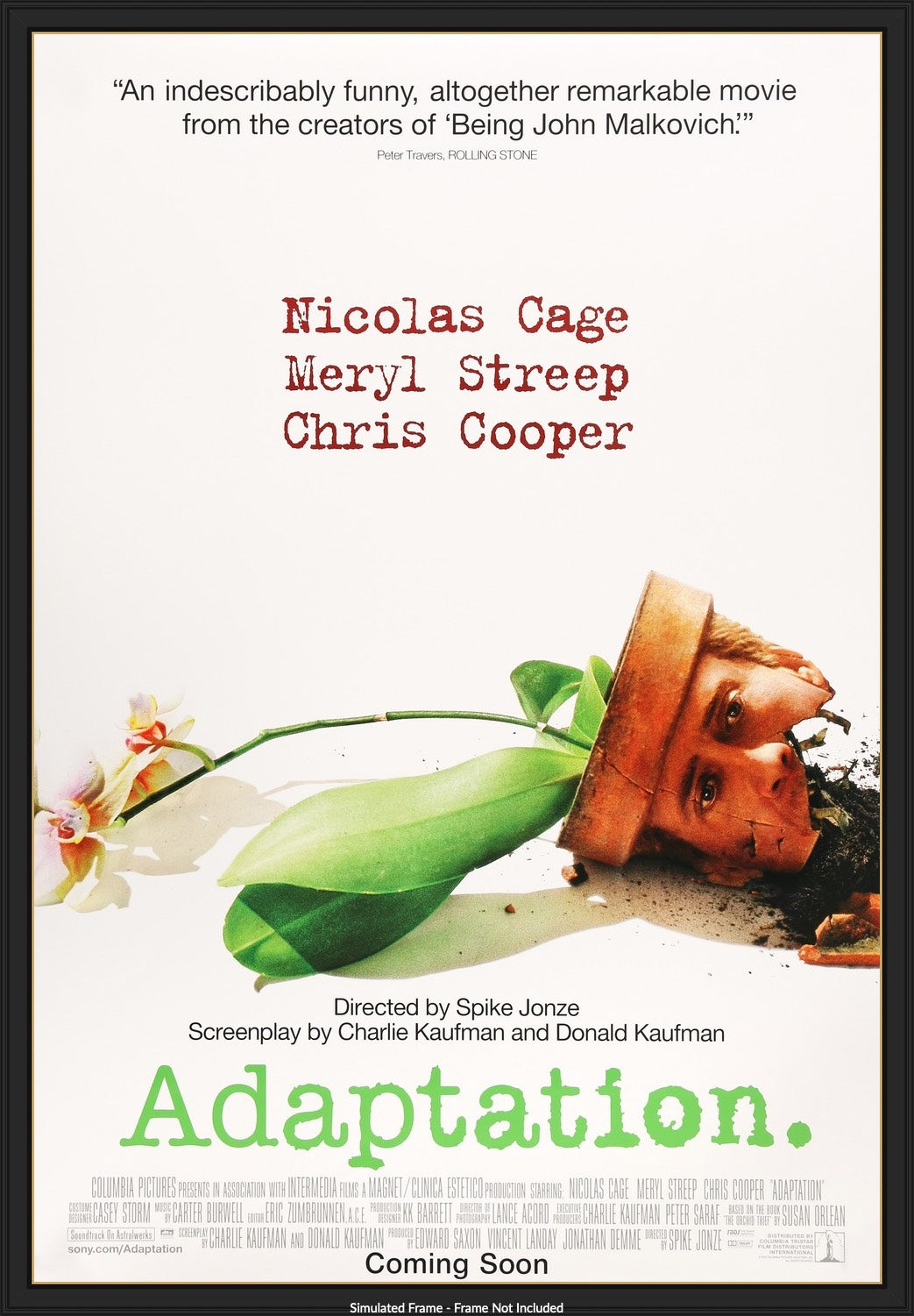 Adaptation (2002) original movie poster for sale at Original Film Art - Vintage Movie Posters