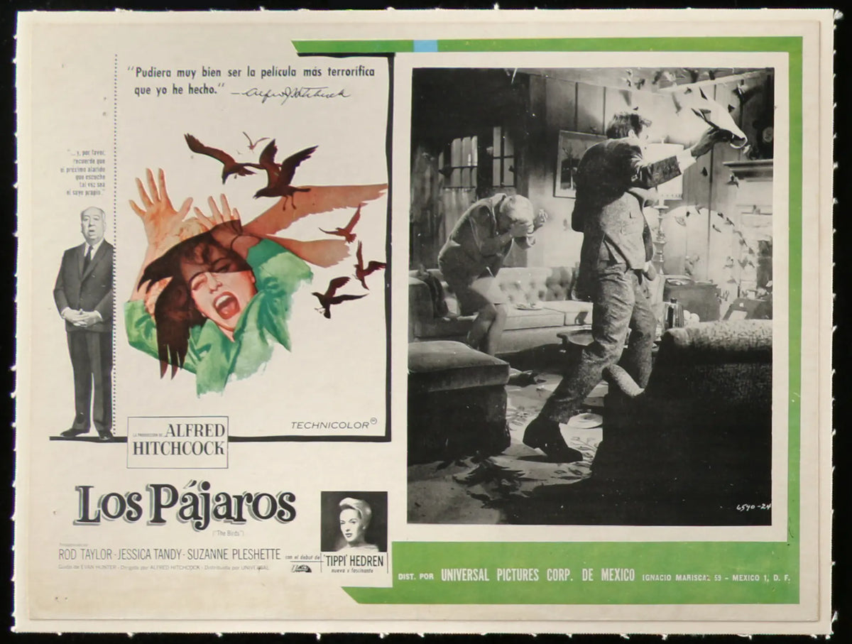Birds (1963) original movie poster for sale at Original Film Art - Vintage Movie Posters