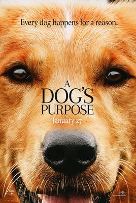Dog's Purpose (2017) original movie poster for sale at Original Film Art