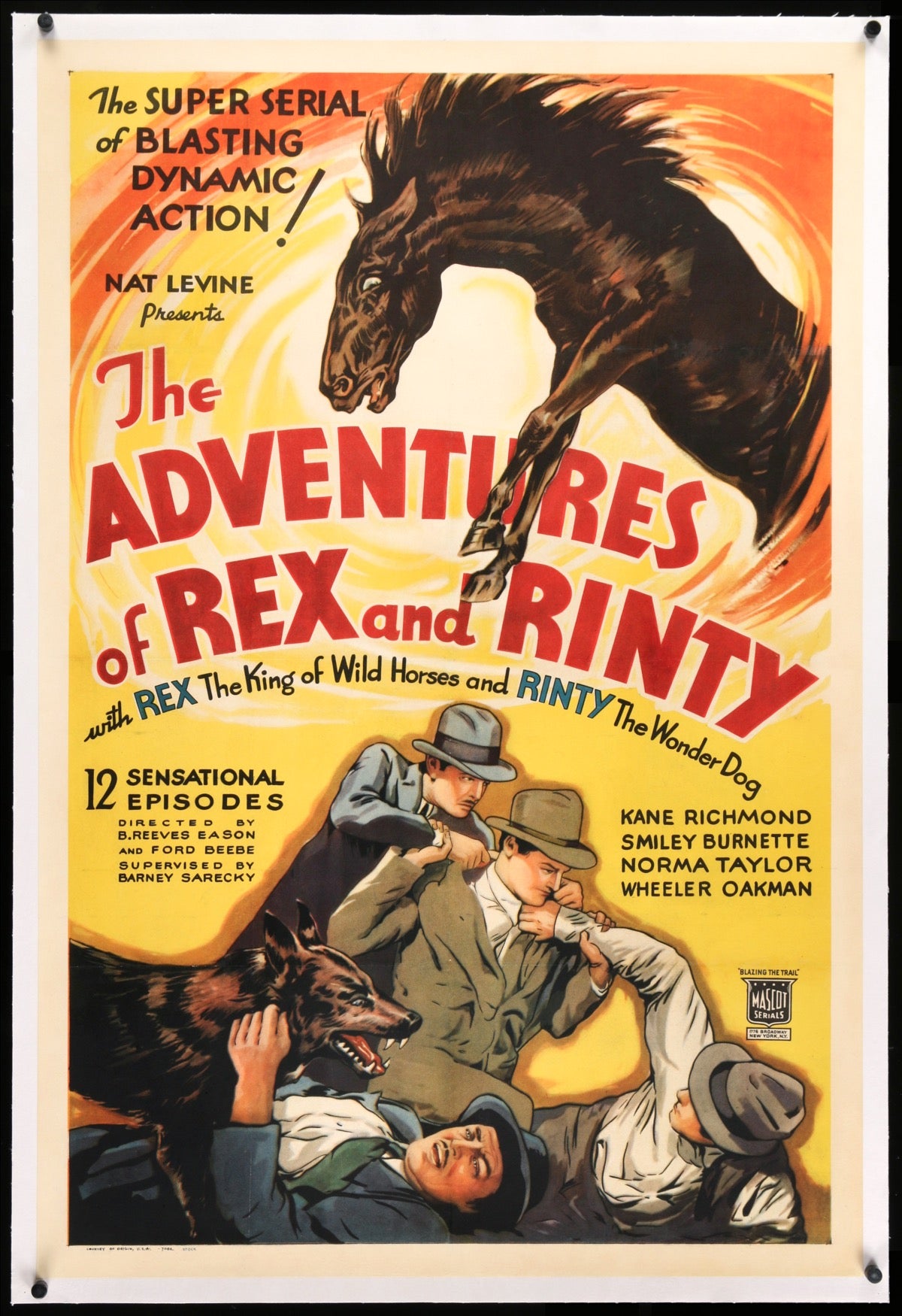 Adventures of Rex and Rinty (1935) original movie poster for sale at Original Film Art - Vintage Movie Posters