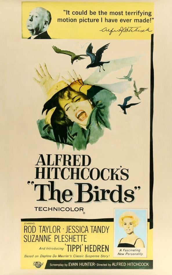 Birds (1963) original movie poster for sale at Original Film Art