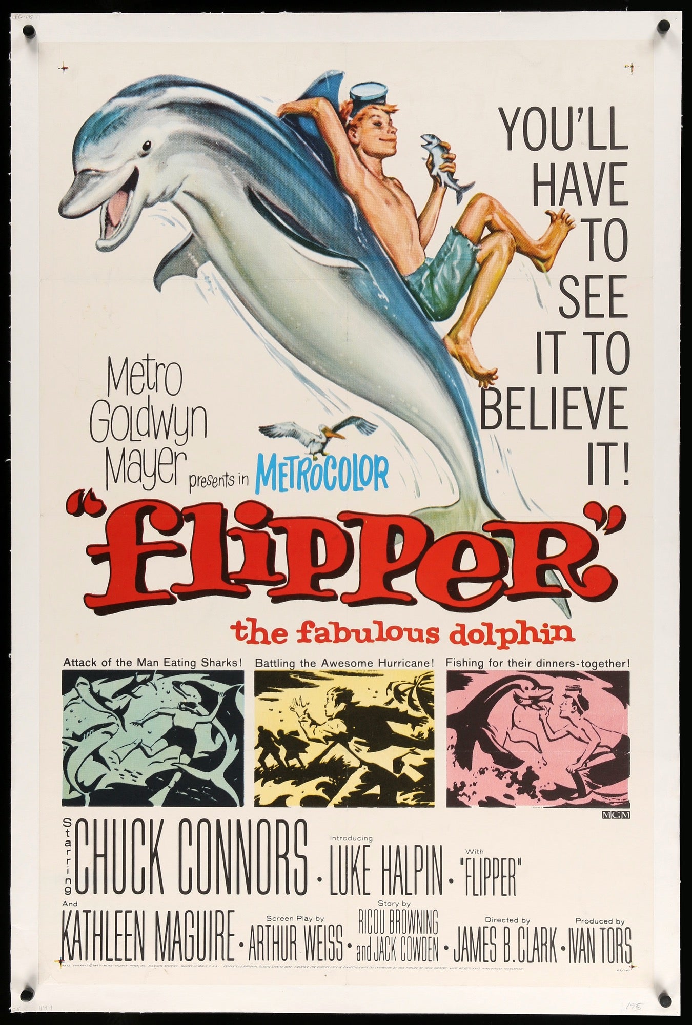 Flipper (1963) original movie poster for sale at Original Film Art - Vintage Movie Posters