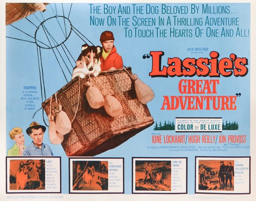 Lassie's Great Adventure (1963) original movie poster for sale at Original Film Art - Vintage Movie Posters